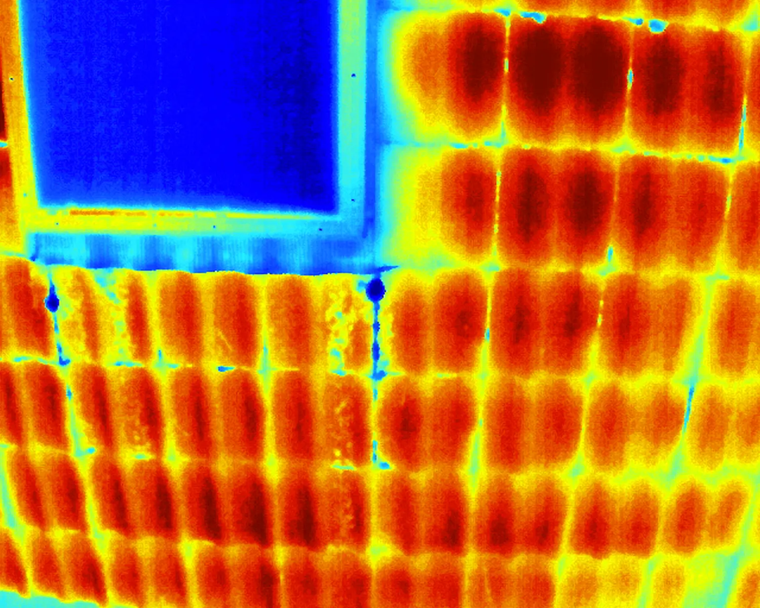 Drohnenblick, Thermografie eines Gebäudes