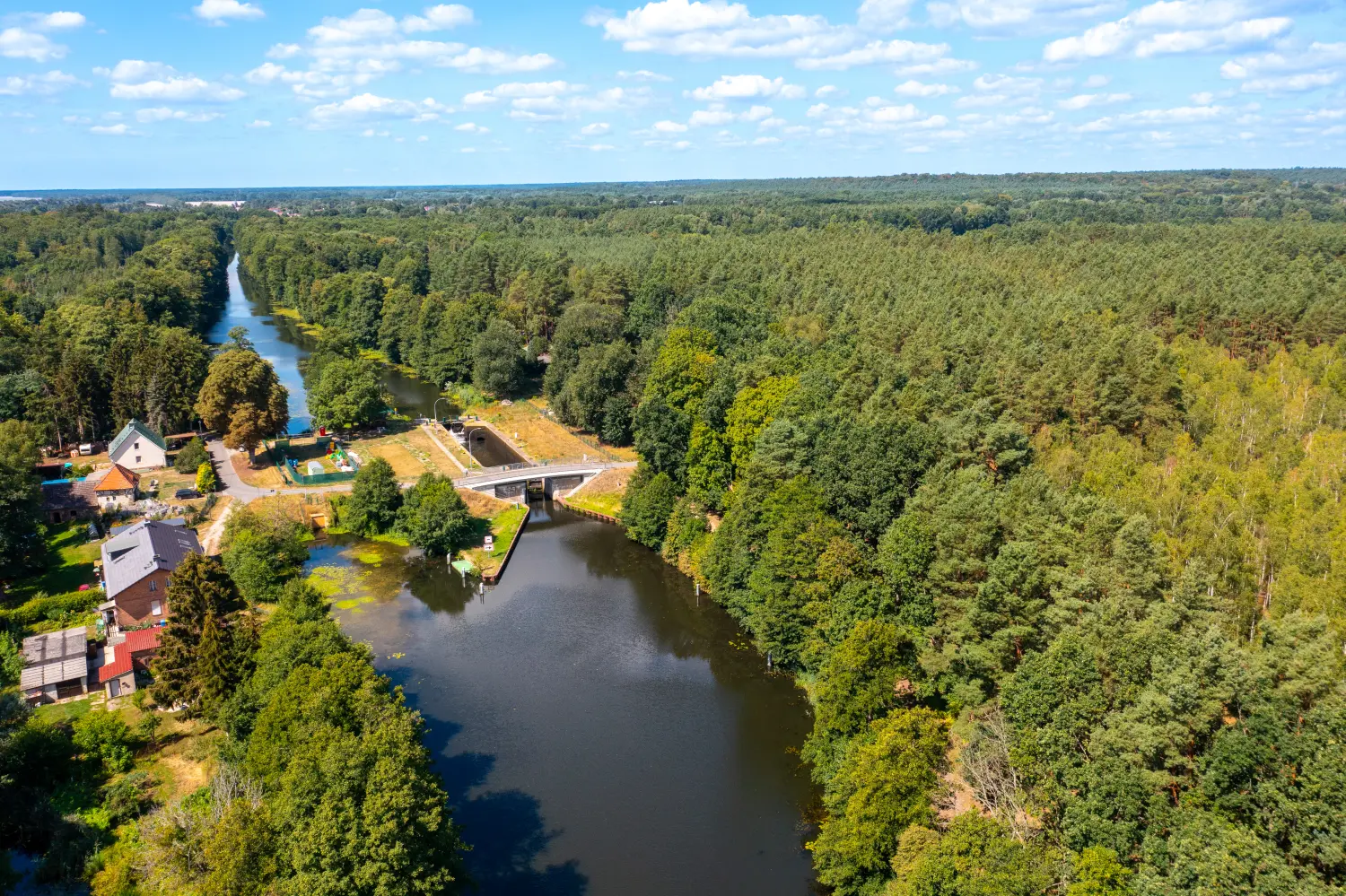 Drohnenblick, Luftbildaufnahme von See und Wald